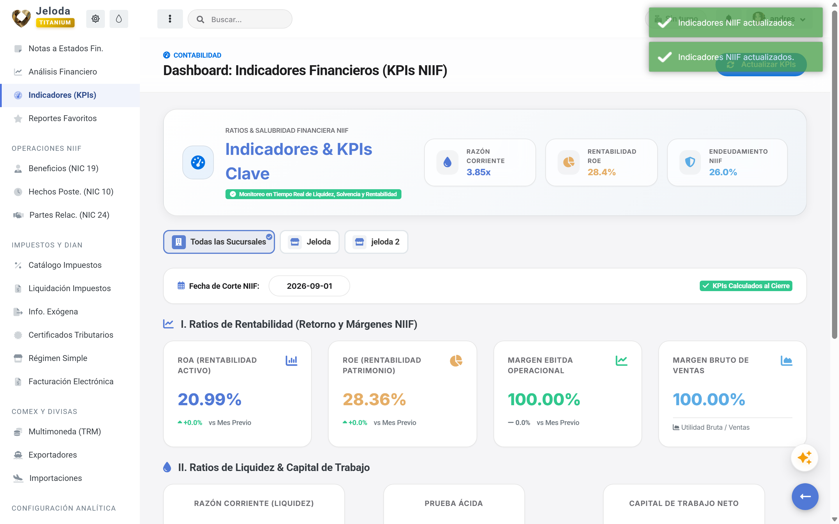 Dashboard de indicadores y ratios financieros NIIF en Jeloda
